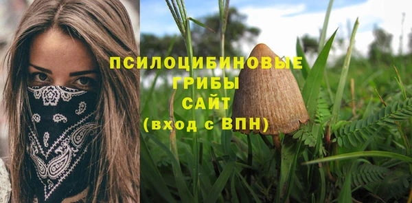 таблы Армянск